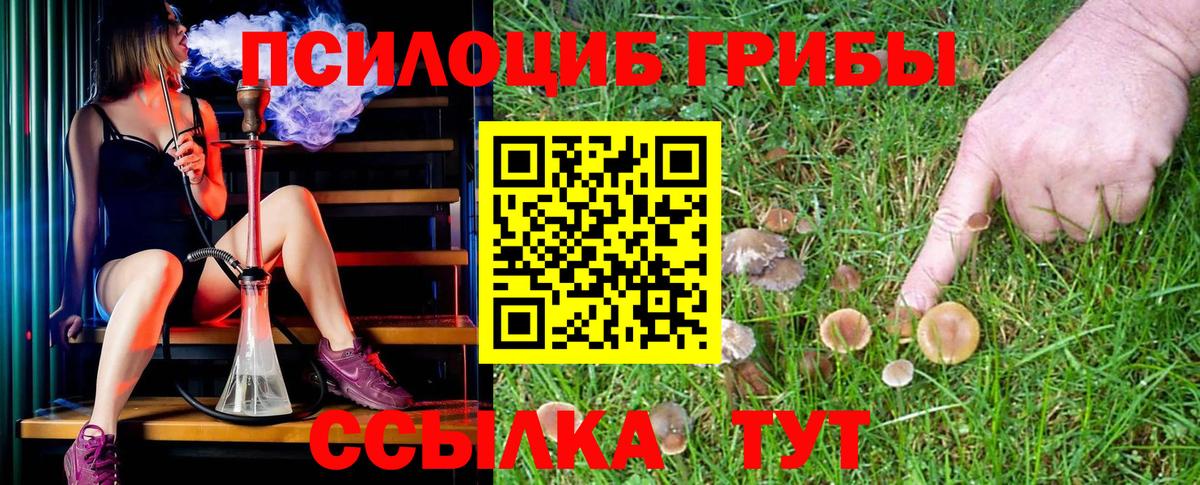 Галлюциногенные грибы Cubensis Мыски