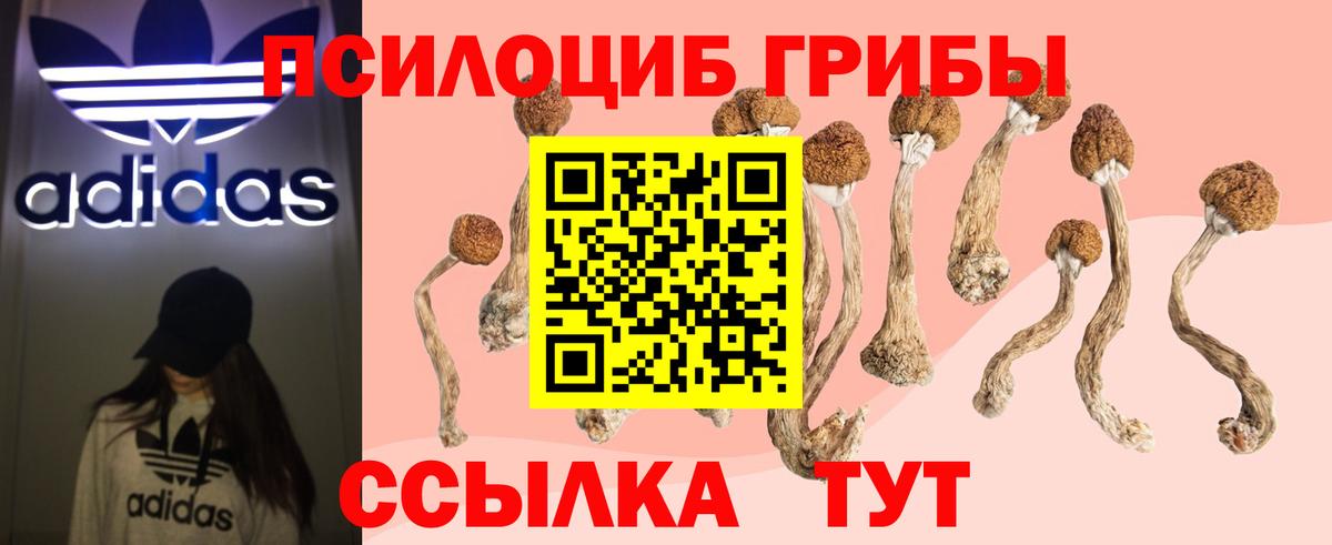 Мыски  Галлюциногенные грибы мицелий  Вход с VPN 